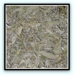 Photo by Deror avi. This file is licensed under the Creative Commons Attribution 3.0 Unported license. Essiac cancer cure herbal medicine