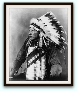 Native American herbal remedies