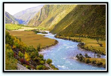 Tibetan herbal medicine