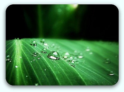 Photo by Bruno. This file is licensed under the Creative Commons Attribution 3.0 Unported license Natural healing